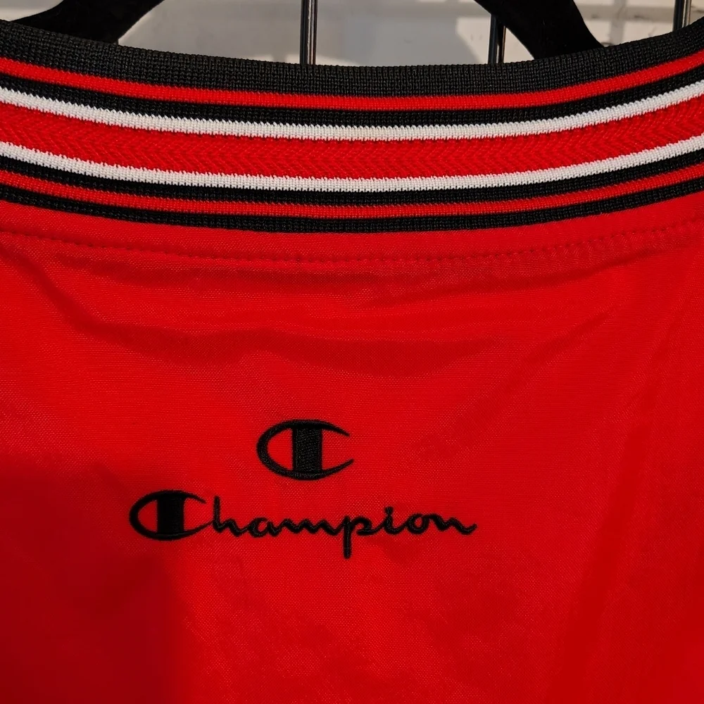 Vintage Champion Ohio State Buckeyes 2003 National Championship Pullover